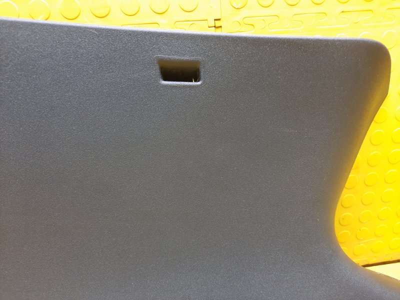 Обшивка стойки задняя левая Duster 2019 F4RE410