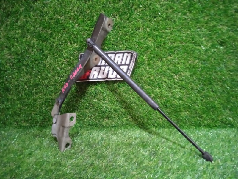 Петля капота FORD EXCURSION L1 TRITON 99S 2001 (б/у)