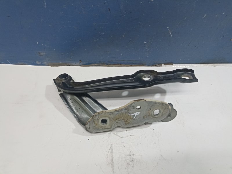 Петля капота Skoda Octavia A7 2015 прав. (б/у) Петля капота Skoda Octavia A7 2015 прав. (б/у)