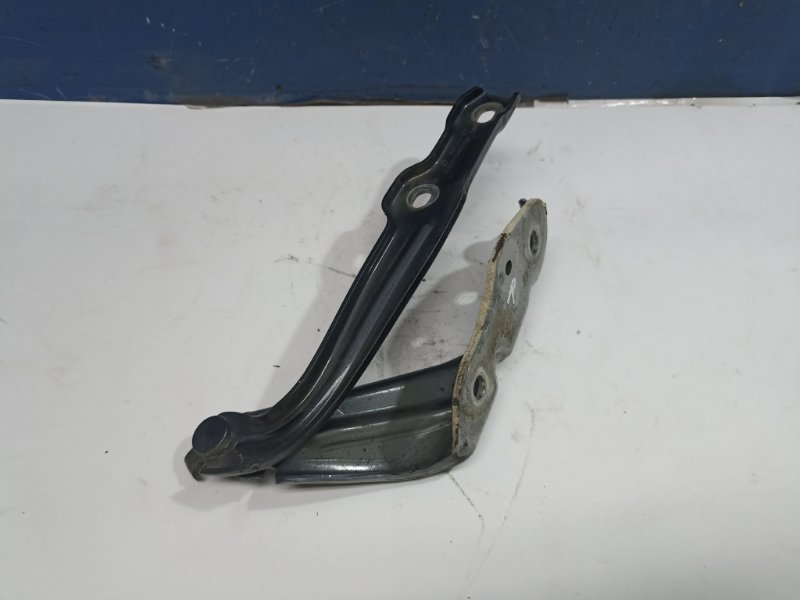 Петля капота Skoda Octavia A7 2015 прав. (б/у) Петля капота Skoda Octavia A7 2015 прав. (б/у)