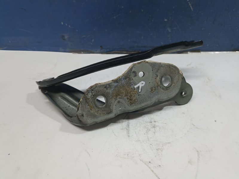 Петля капота Skoda Octavia A7 2015 прав. (б/у) Петля капота Skoda Octavia A7 2015 прав. (б/у)