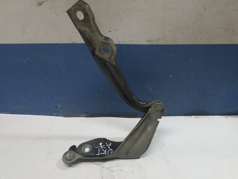 Петля капота Skoda Octavia A7 2015 прав. (б/у) Петля капота Skoda Octavia A7 2015 прав. (б/у)