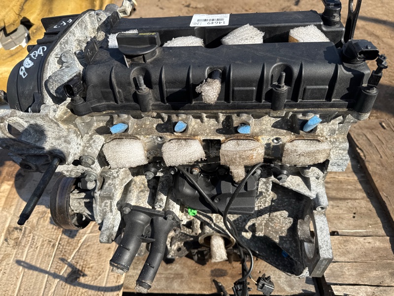 Двигатель FOCUS 2014 хетчбэк 1.6L Duratec Ti-VCT (105PS) - Sigma