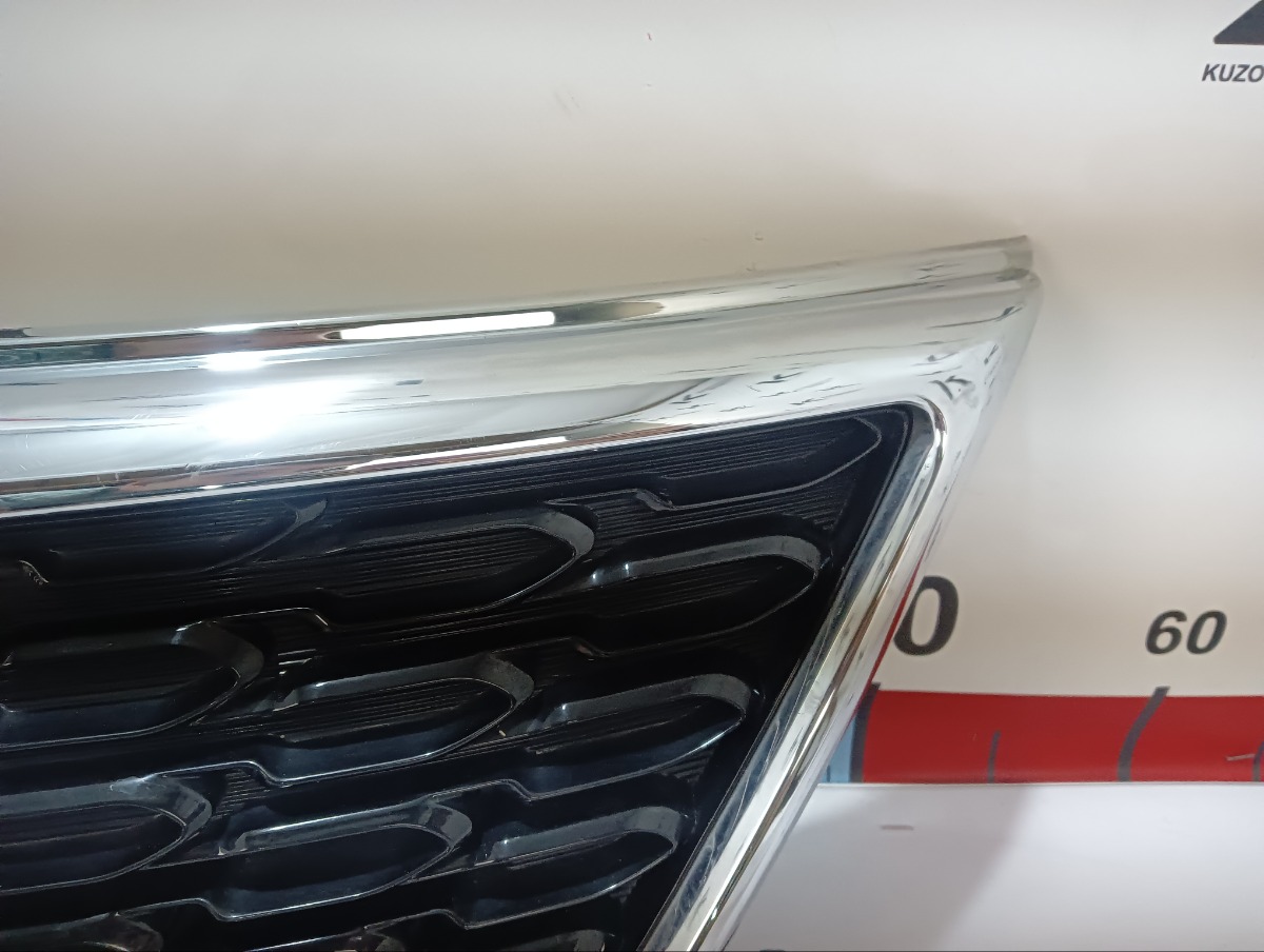 Решетка радиатора Sorento 2014 XM D4HA