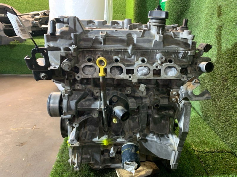 Двигатель Renault Kaptur H4MD429 2019 (б/у)