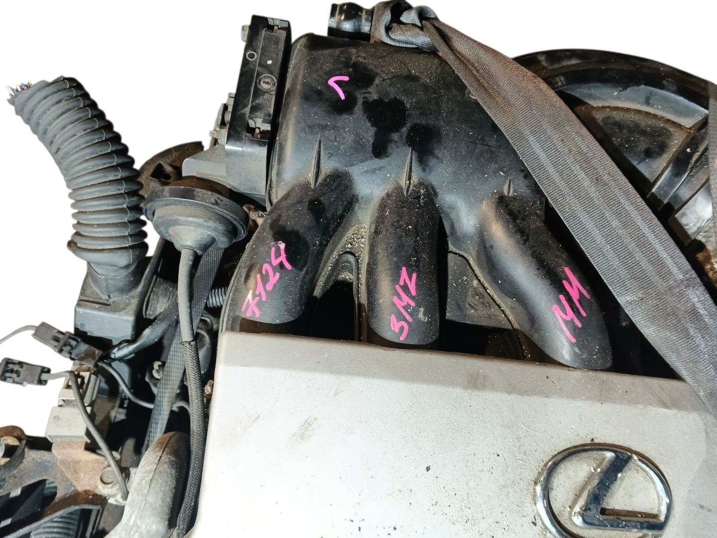 Двигатель Lexus RX330 MCU33 3MZFE 2005 (б/у)