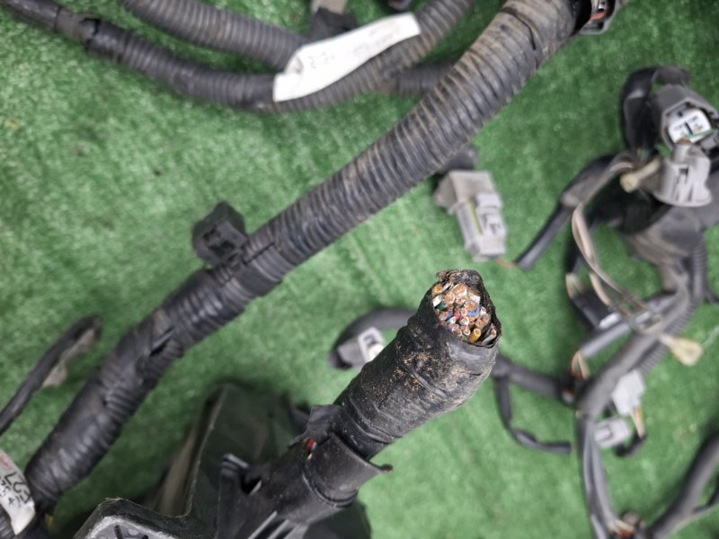 Проводка ДВС Toyota Camry ACV40 2AZFE 2008 (б/у) Проводка ДВС Toyota Camry ACV40 2AZFE 2008 (б/у)