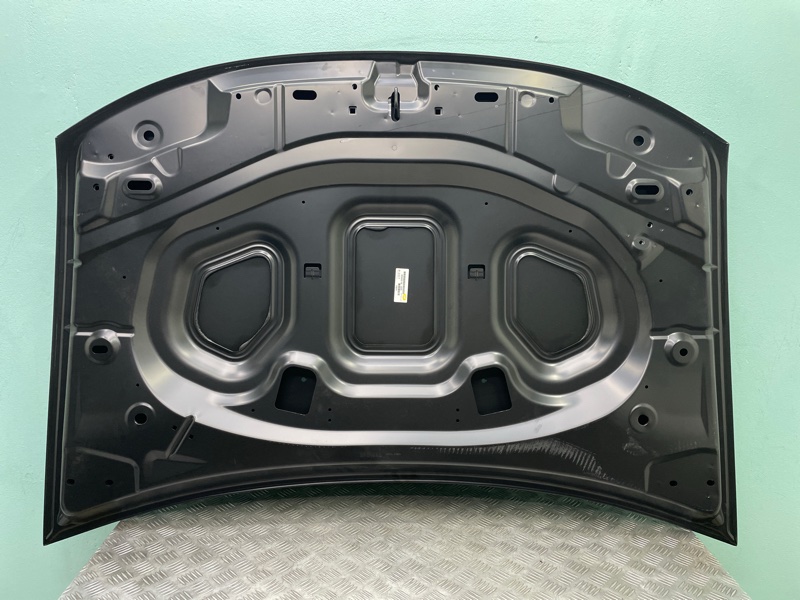 Капот Duster Тайвань не Китай 10-21г