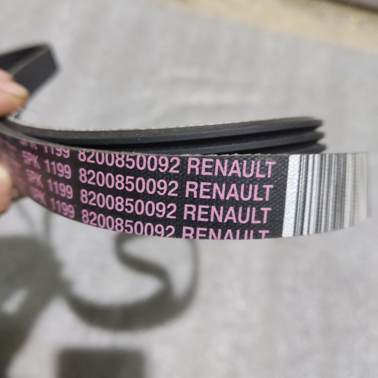 Ремень генератора Renault Scenic 2 2009