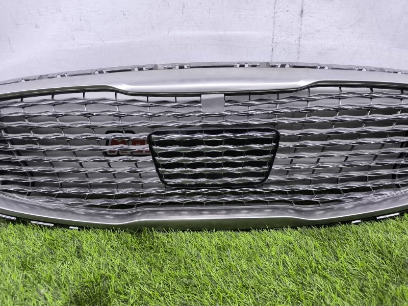 Решетка радиатора Kia K900
