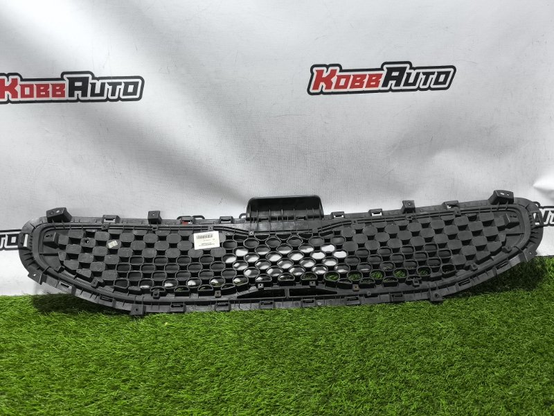 Решетка радиатора Ray 2011-