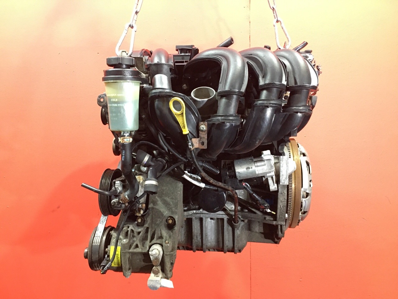 Двигатель Ford Focus 2 ХЭТЧБЭК 5 ДВ. SHDA 1.6L 1596 КУБ.СМ. БЕНЗИН 74 КВТ (101 Л.С.) ZETEC 2004 (б/у) Двигатель Ford Focus 2 ХЭТЧБЭК 5 ДВ. SHDA 1.6L 1596 КУБ.СМ. БЕНЗИН 74 КВТ (101 Л.С.) ZETEC 2004 (б/у)