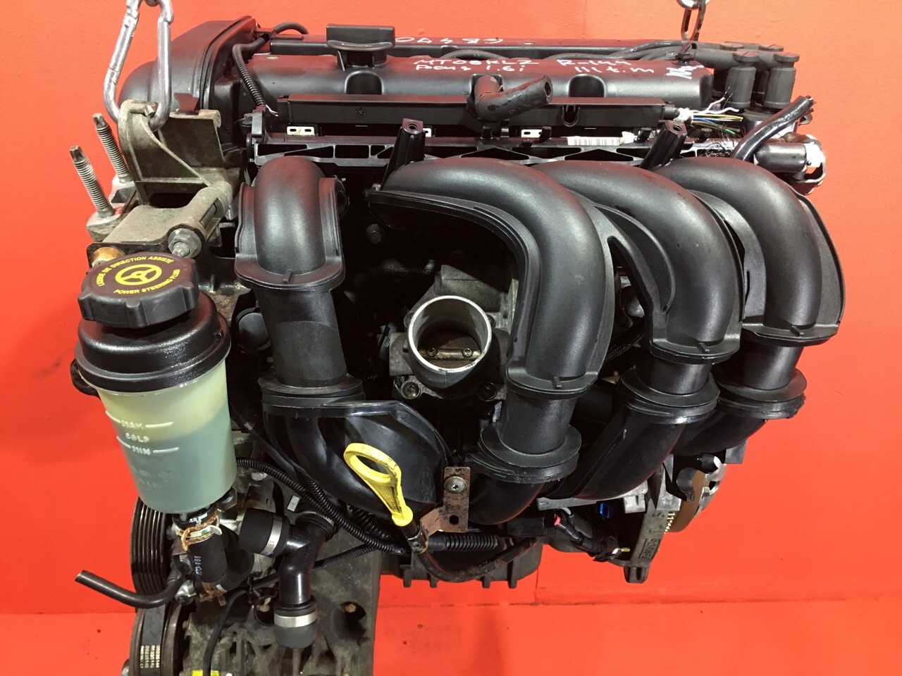 Двигатель Ford Focus 2 ХЭТЧБЭК 5 ДВ. SHDA 1.6L 1596 КУБ.СМ. БЕНЗИН 74 КВТ (101 Л.С.) ZETEC 2004 (б/у) Двигатель Ford Focus 2 ХЭТЧБЭК 5 ДВ. SHDA 1.6L 1596 КУБ.СМ. БЕНЗИН 74 КВТ (101 Л.С.) ZETEC 2004 (б/у)