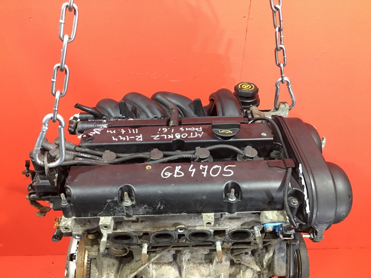 Двигатель Ford Focus 2 ХЭТЧБЭК 5 ДВ. SHDA 1.6L 1596 КУБ.СМ. БЕНЗИН 74 КВТ (101 Л.С.) ZETEC 2004 (б/у) Двигатель Ford Focus 2 ХЭТЧБЭК 5 ДВ. SHDA 1.6L 1596 КУБ.СМ. БЕНЗИН 74 КВТ (101 Л.С.) ZETEC 2004 (б/у)