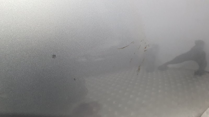 Дверь Lexus LS460 USF40 1URFE 2010 перед. прав. (б/у)